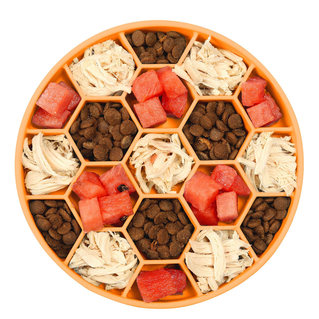 Slow Feeder Bowl
