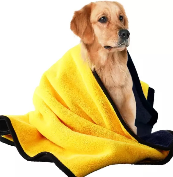 Yellow and navy Dry Towel wrapped on a Golden Retriever