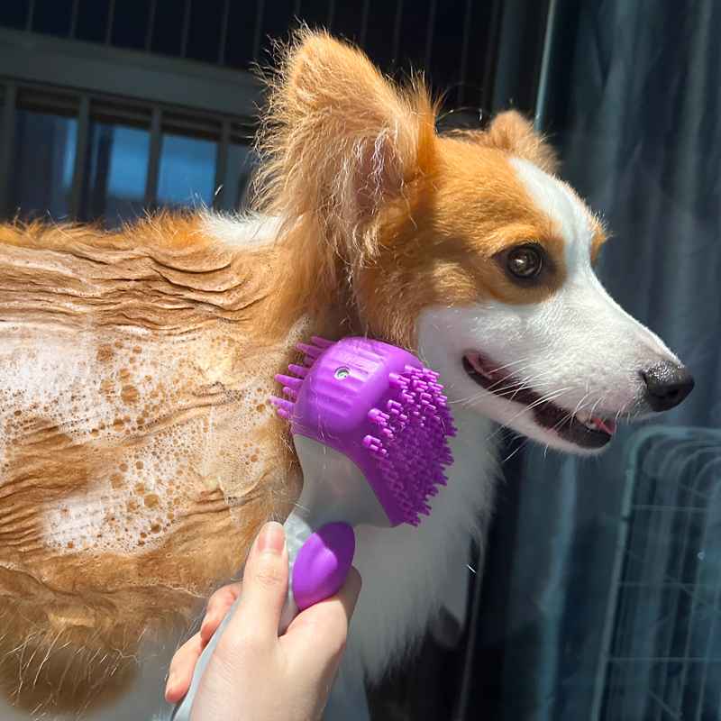 Bath brush in use on a wet dog