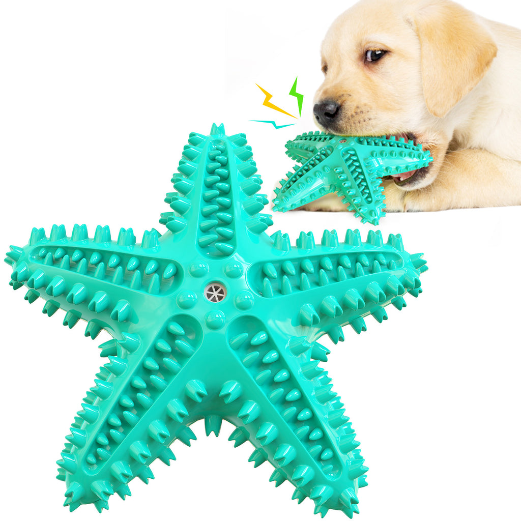 Teal Starfish Chew on white with a dog inset
