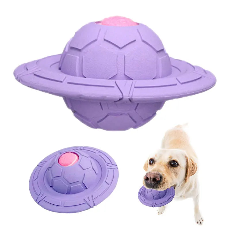 Purple UFO Disc ball and flat forms with a dog