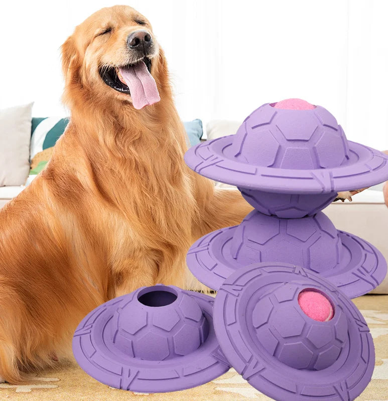 Purple UFO Disc with a Golden Retriever