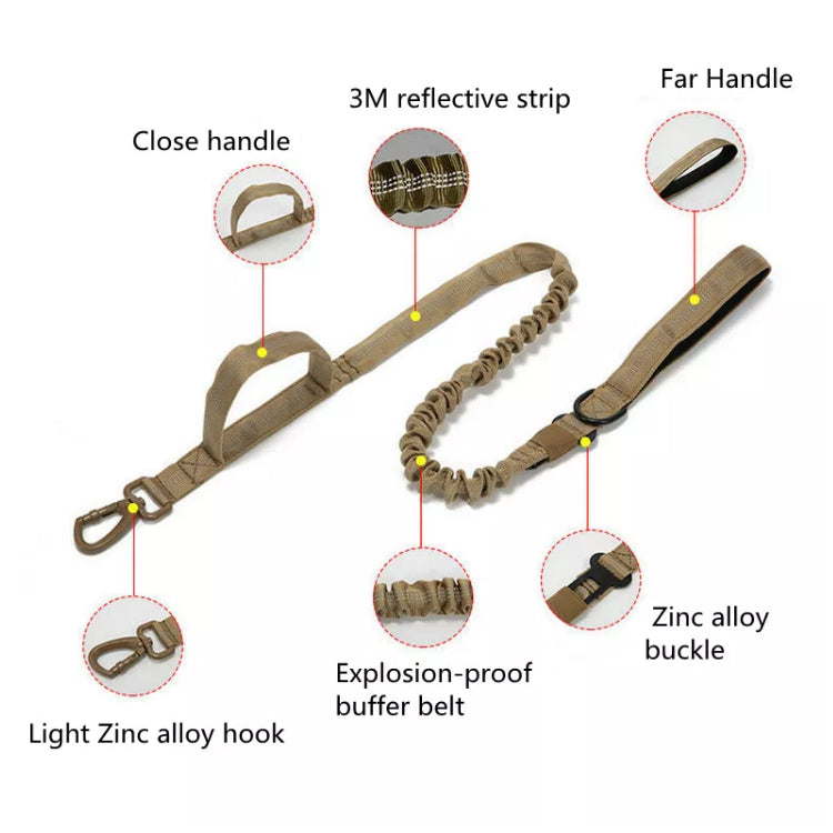 Tan Bungee Lead parts: clip, bungee, handles, D-ring