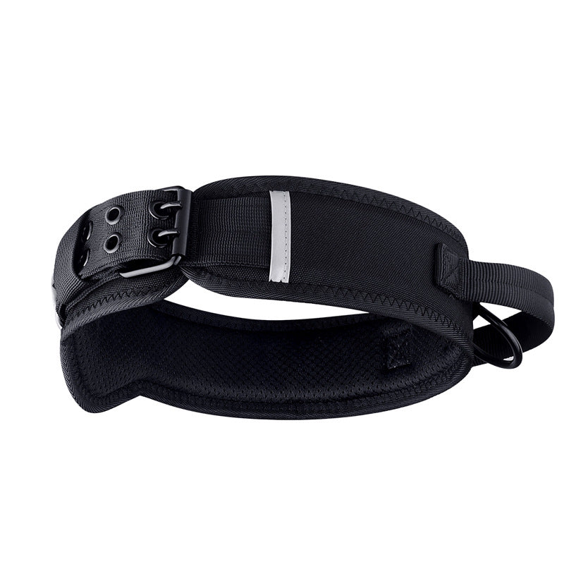 Black Tact Collar close-up, handle and double-prong buckle