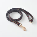 Brown Leather Lead coiled on white