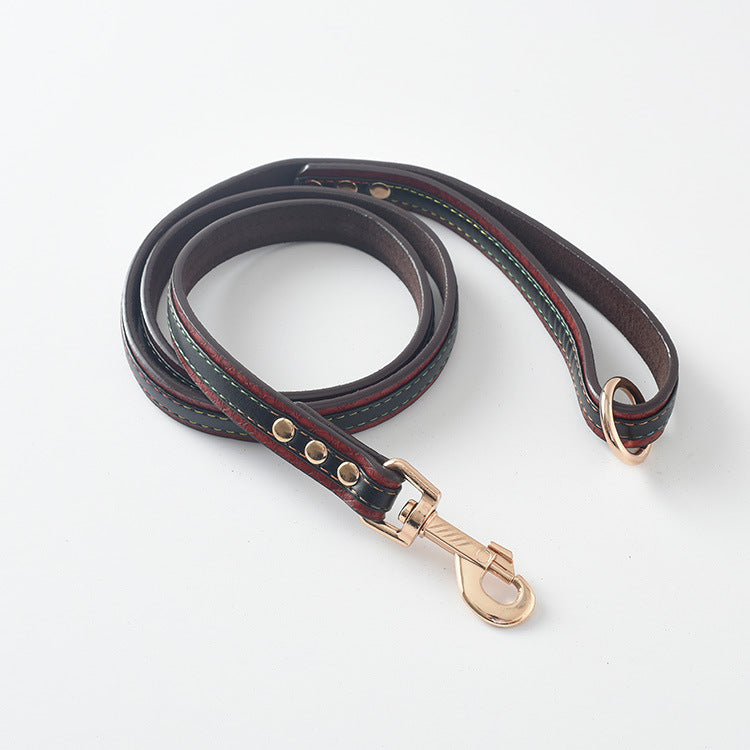 Brown Leather Lead coiled on white