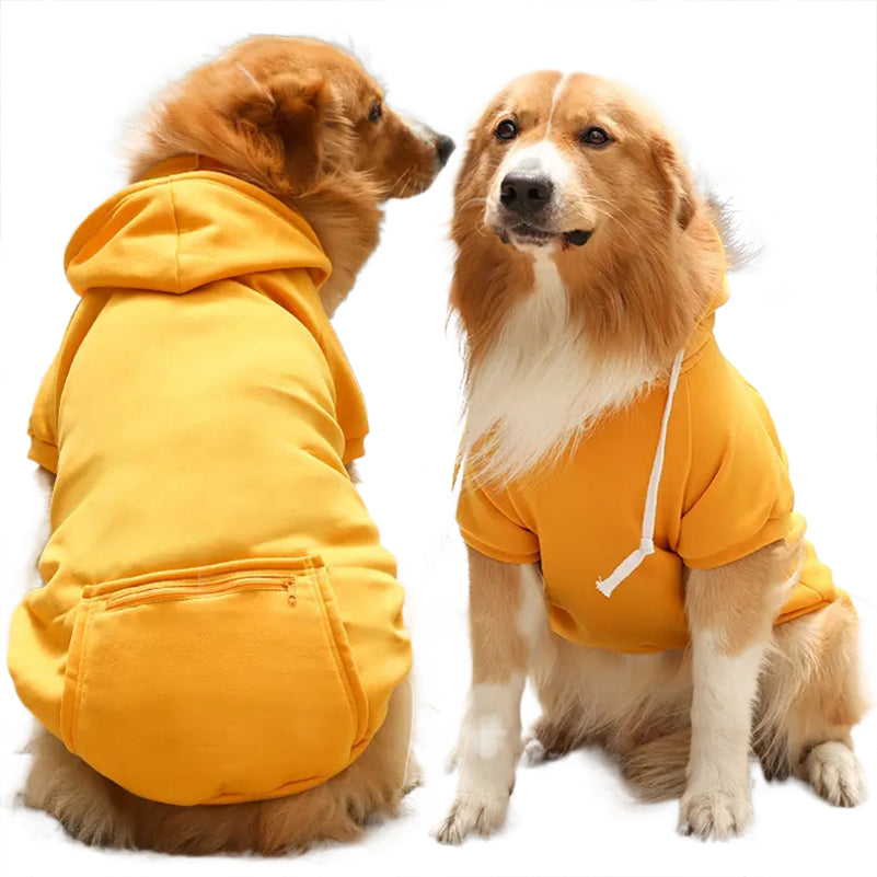 Yellow Walk Hoodie on two Golden Retrievers, zip pocket