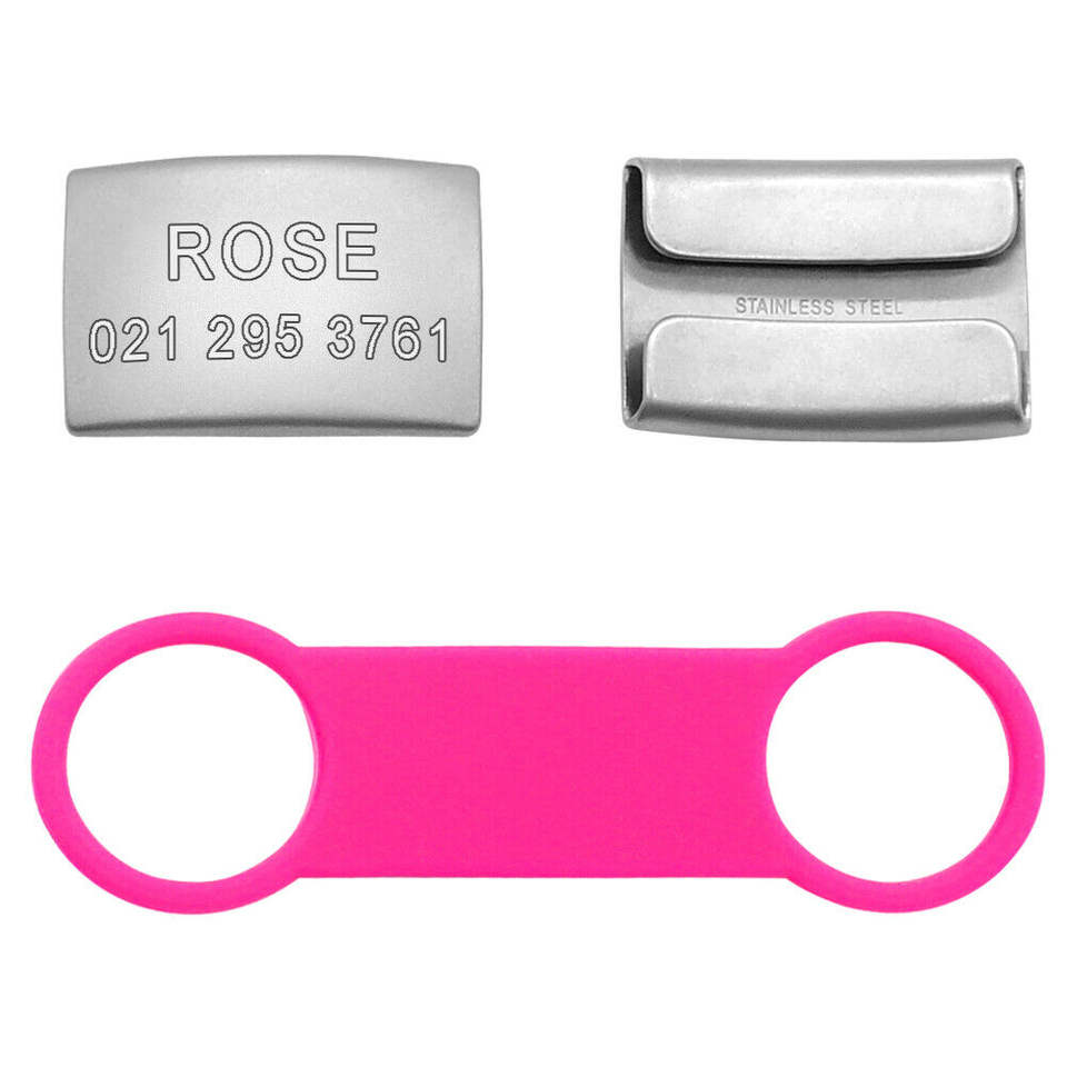 Silent Tag plate front, back, and pink loop