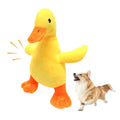 Yellow Plush Duck on white with a Corgi for scale