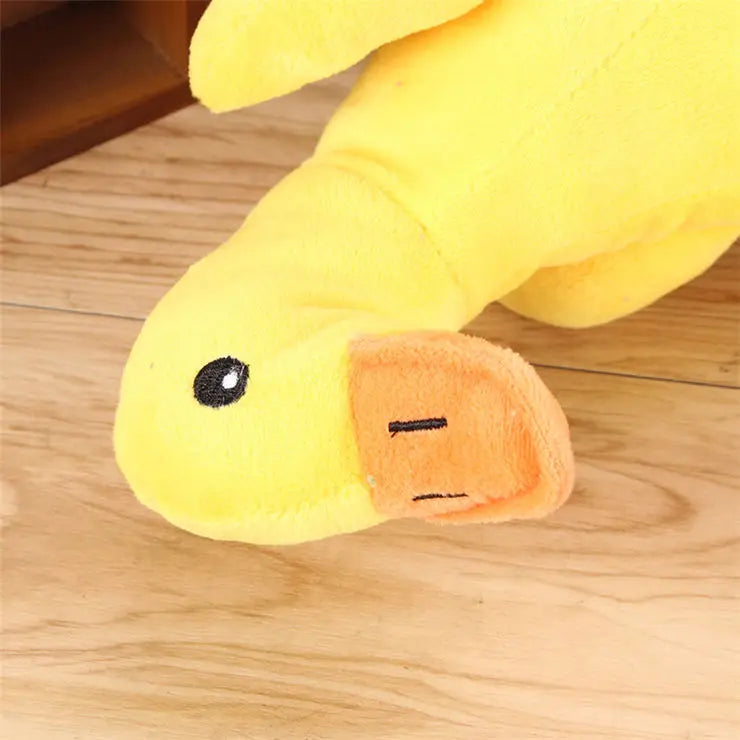 Plush Duck close-up on wood