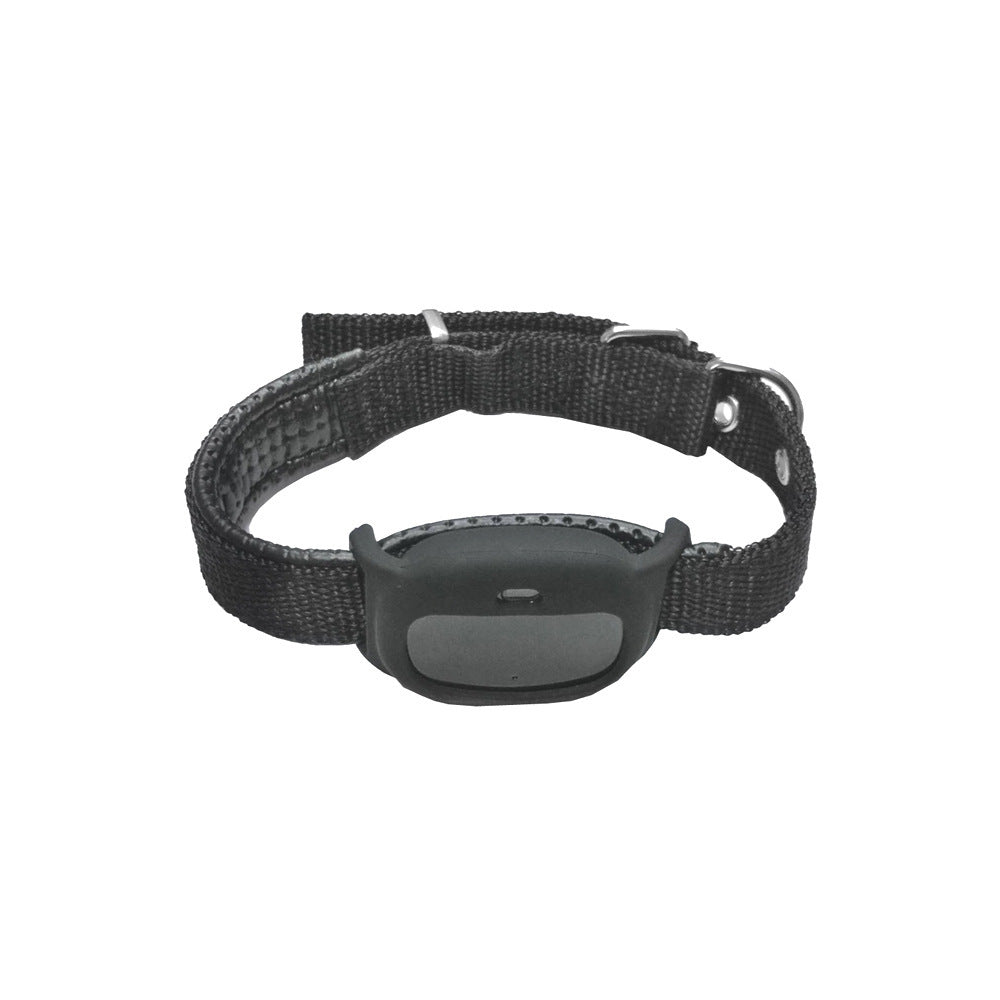 GPS Tag on a black nylon collar, unbranded housing