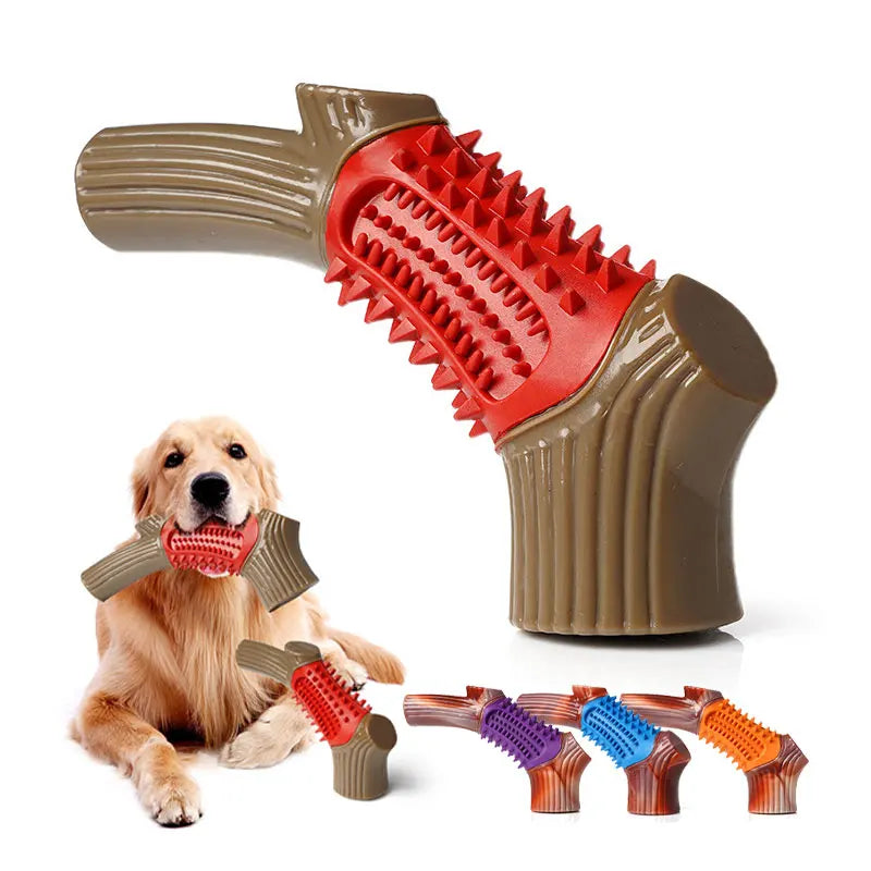 Branch Chew colorways with a Golden Retriever