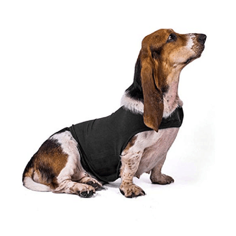 Black Calm Wrap on a Basset Hound