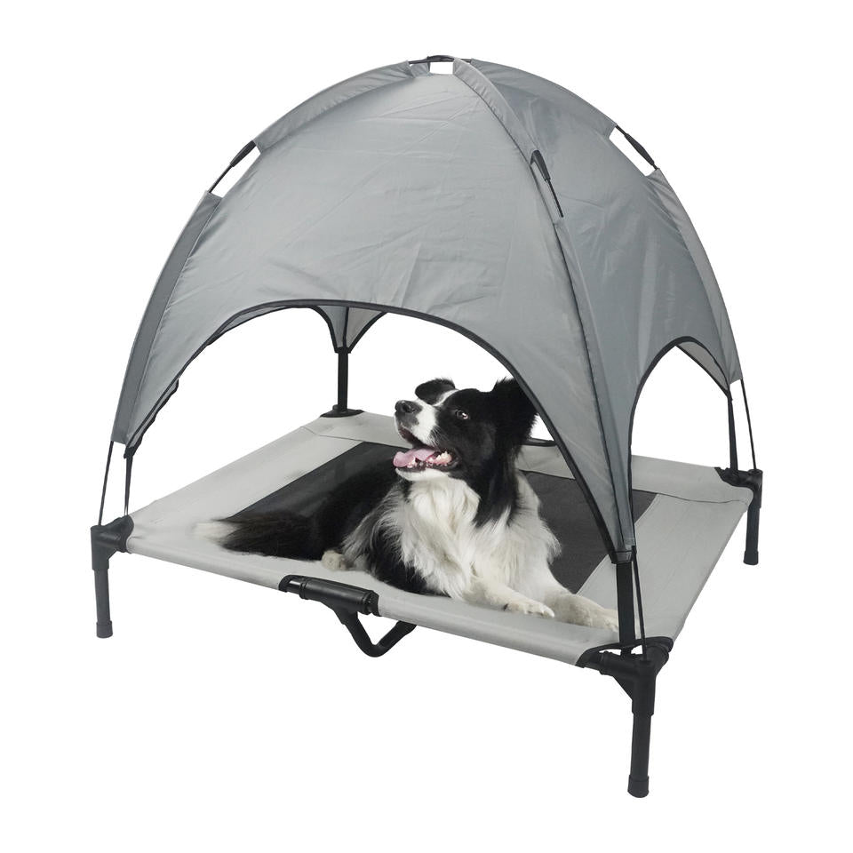 Grey Shade Cot with canopy, Border Collie on white