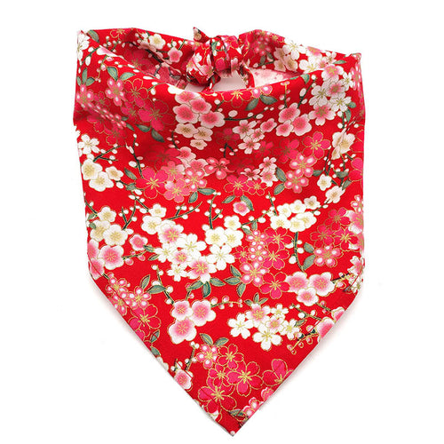 Red Bandana tied