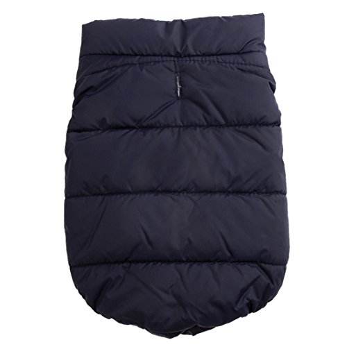 Navy Walk Coat back with leash slit
