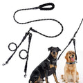 Dual Leash on a Doberman and a Golden Retriever