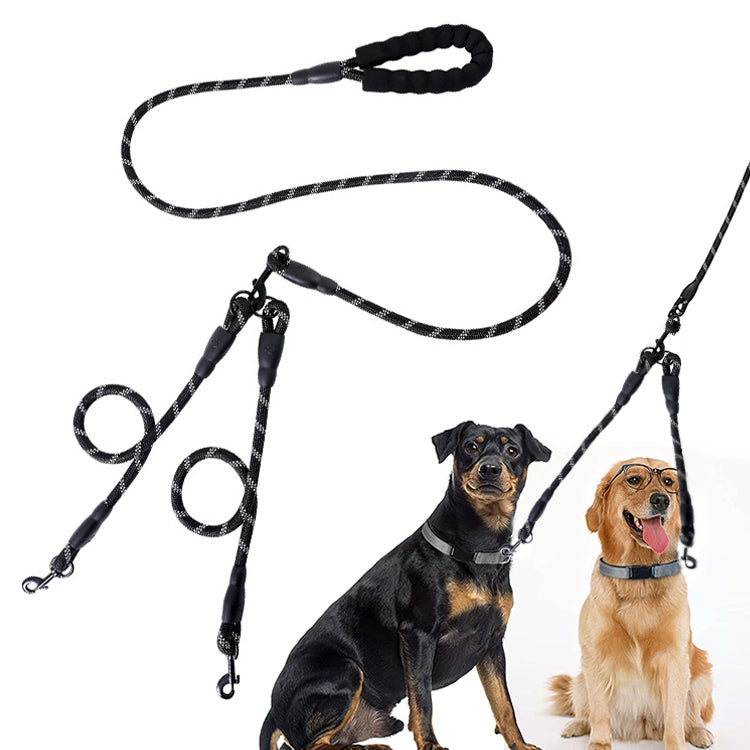 Dual Leash on a Doberman and a Golden Retriever