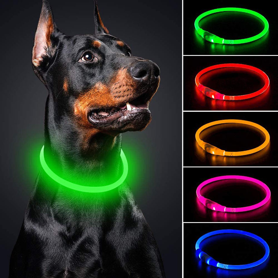Green Walk Light on a large dog at night