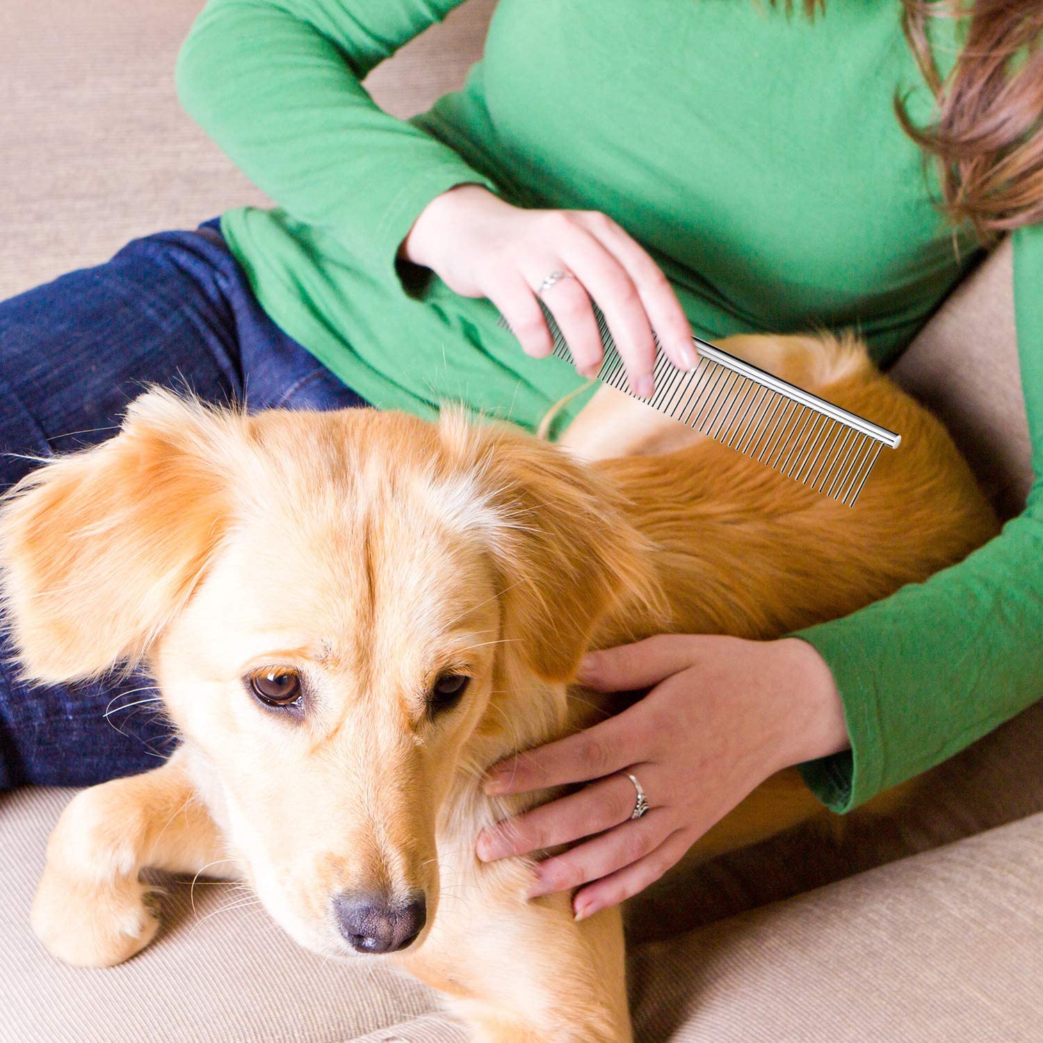 Steel Comb used on a golden dog