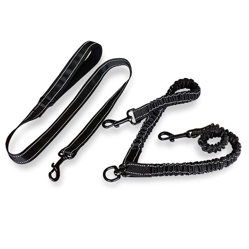 Dual Coupler handle lead and two bungee branches
