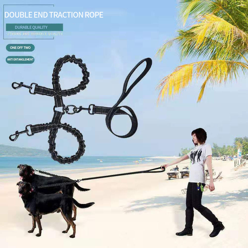Dual Coupler walking two large dogs on a beach