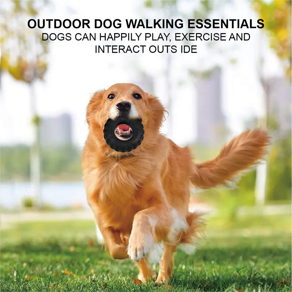 Golden retriever carrying a Tyre Chew outdoors