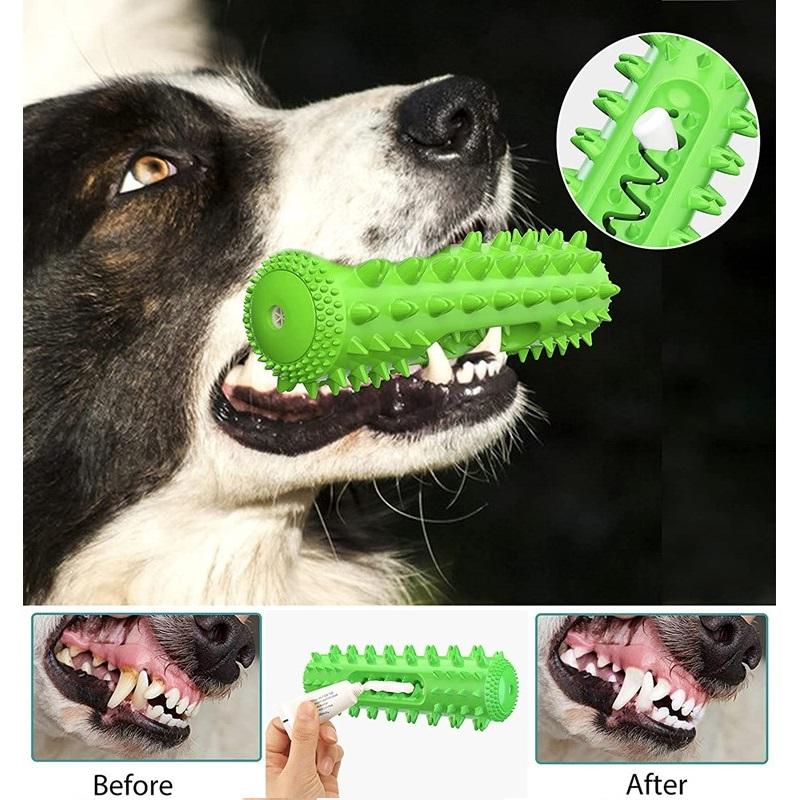 Green Molar Stick with a Border Collie, trough close-up