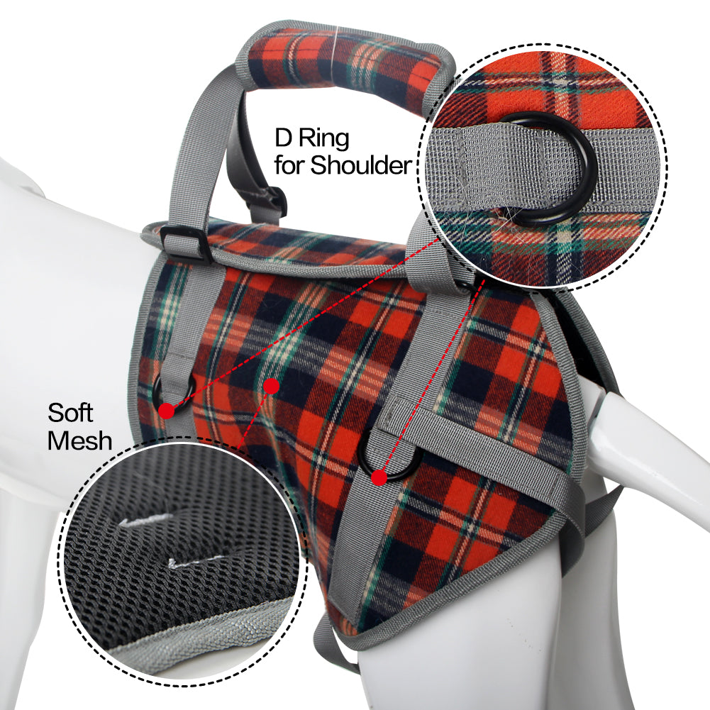 Lift Harness D-ring and soft mesh callouts