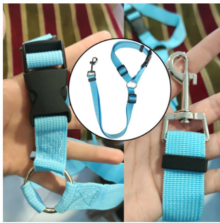 Blue Car Tether buckle, ring, and snap