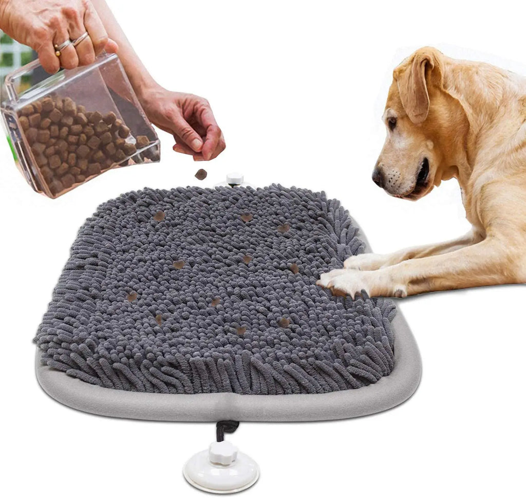 Gray Snuffle Mat with a dog and dry food