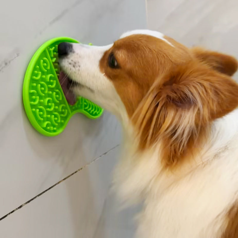 Dog licking a green suction lick mat on a tiled wall