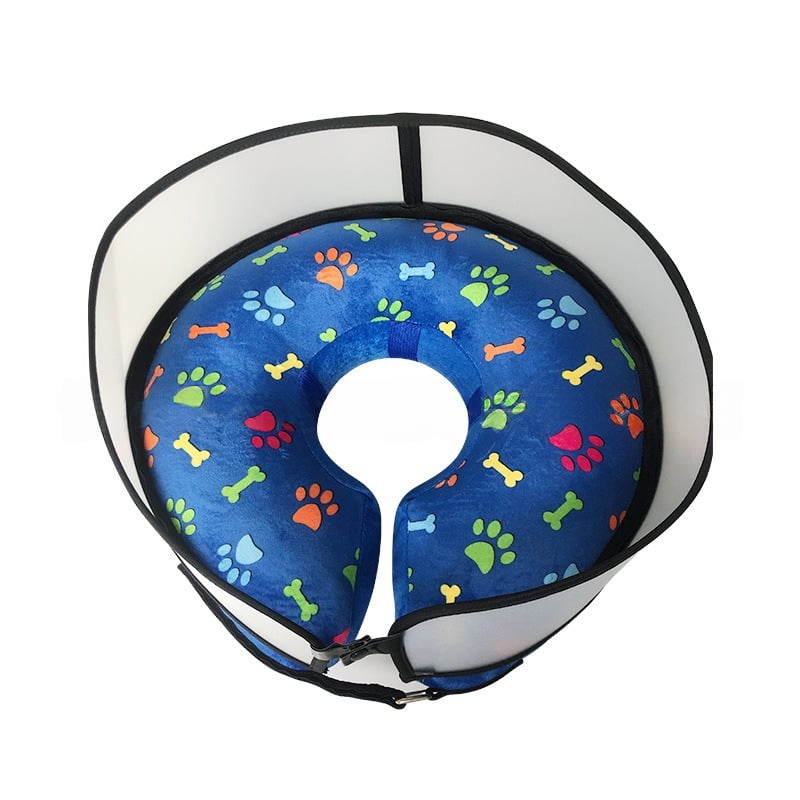 Hybrid Cone, blue paw-print donut with a clear shield
