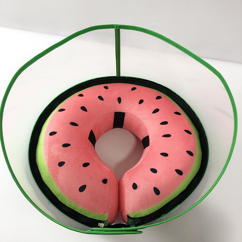 Hybrid Cone, watermelon donut with a clear shield