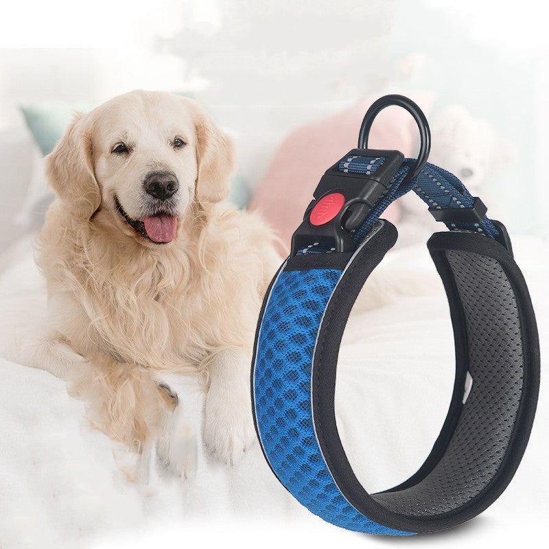 Blue Walk Collar with a locking buckle
