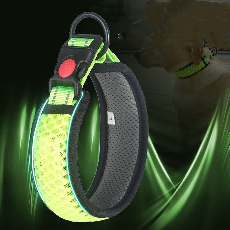 Lime Walk Collar, factory L tag