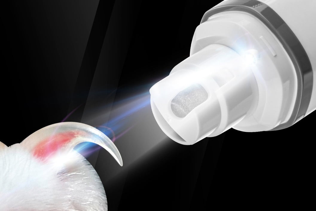 Nail Grinder LED lighting a claw so the quick shows
