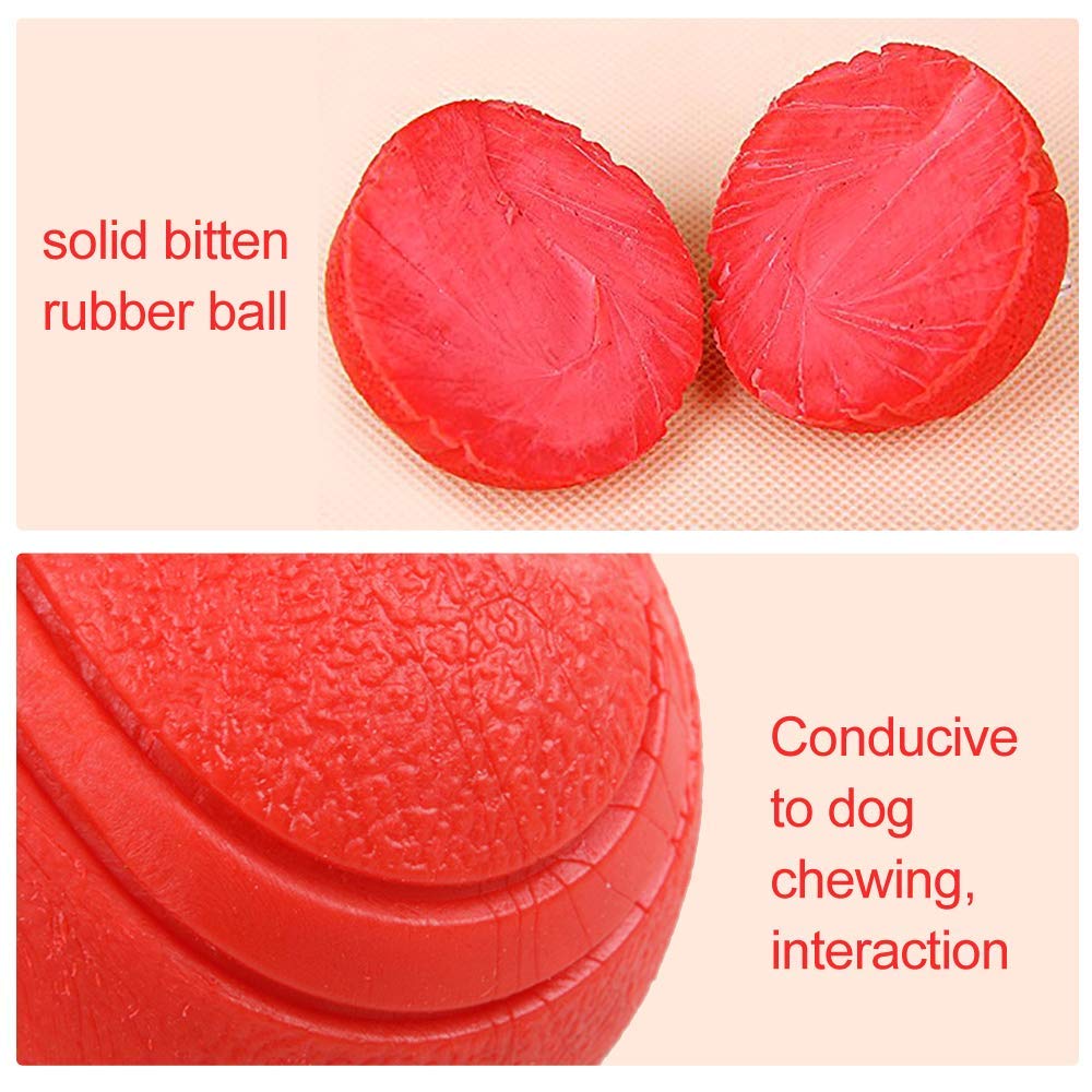 Fetch Ball solid rubber and pebbled skin