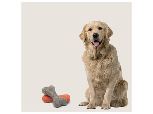 Wool felt bone with dog