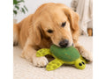 Golden retriever playing with a Felt Tortoise